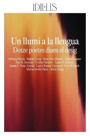 Un Llumi a la llengua | 9791399079012 | VVAA