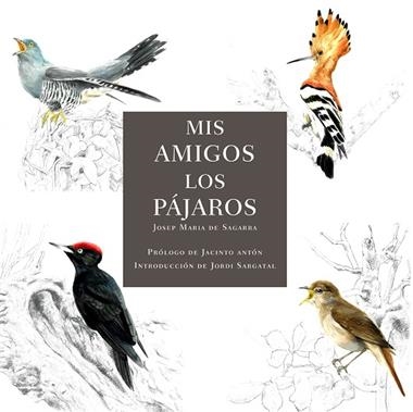 Mis amigos los pajaros | 9788412949032 | Josep Maria De Sagarra