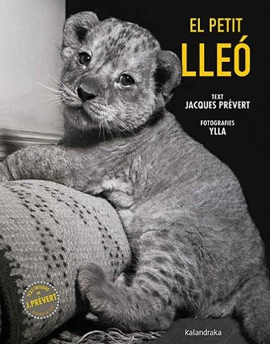 EL PETIT LLEO | 9788410387102 | JACQUES PREVERT