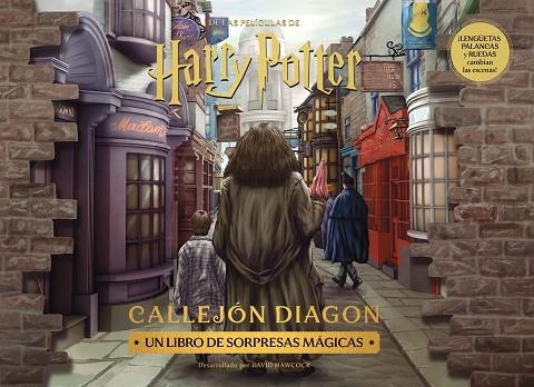 HARRY POTTER DIAGON ALLEY | 9788448045135 | VVAA