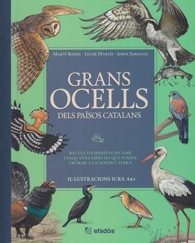 GRANS OCELLS DELS PAÏSOS CATALANS | 9791387658236 | MARTI BOADA & JORDI SARGATAL & JAUME MARLES