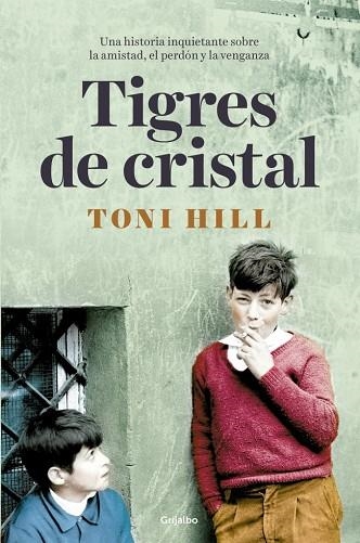 TIGRES DE CRISTAL | 9788425369537 | TONI HILL