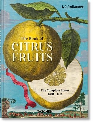 J C VOLKAMER THE BOOK OF CITRUS FRUITS | 9783836594783 | IRIS LAUTERBACH
