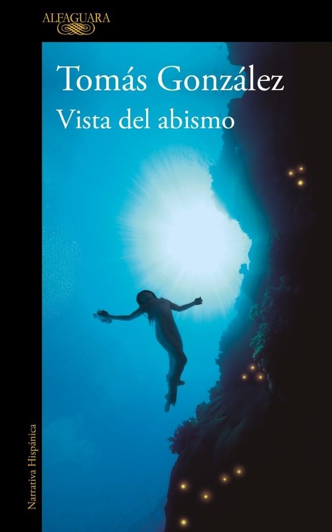 VISTA DEL ABISMO | 9788410299443 | TOMAS GONZALEZ