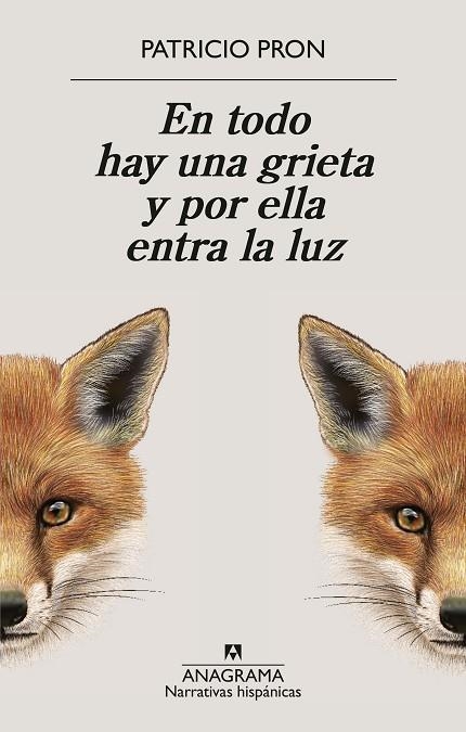 En todo hay una grieta y por ella entra la luz | 9788433949158 | Patricio Pron