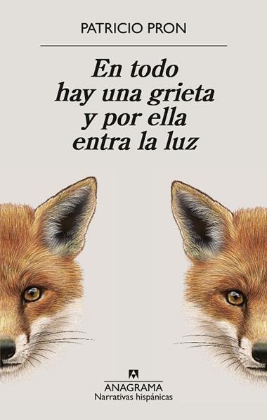En todo hay una grieta y por ella entra la luz | 9788433949158 | Patricio Pron