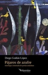Pajaros de azufre | 9791388007316 | DIEGO GODIAN LOPEZ