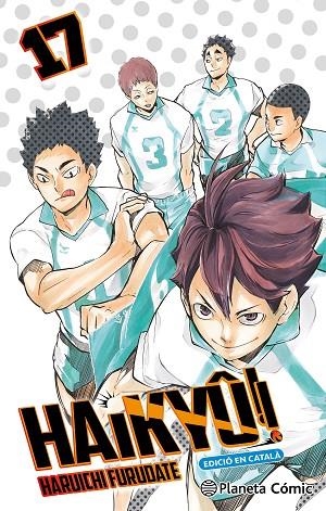 HAIKYU 17 | 9791387918293 | HARUICHI FURUDATE