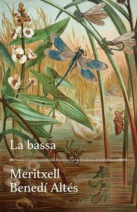 LA BASSA | 9788417353728 | MERITXELL BENEDI ALTES