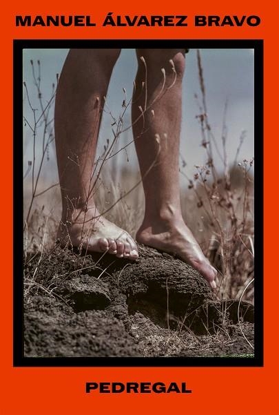 Pedregal | 9788410290556 | Manuel Alvarez Bravo
