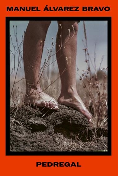 Pedregal | 9788410290556 | Manuel Alvarez Bravo