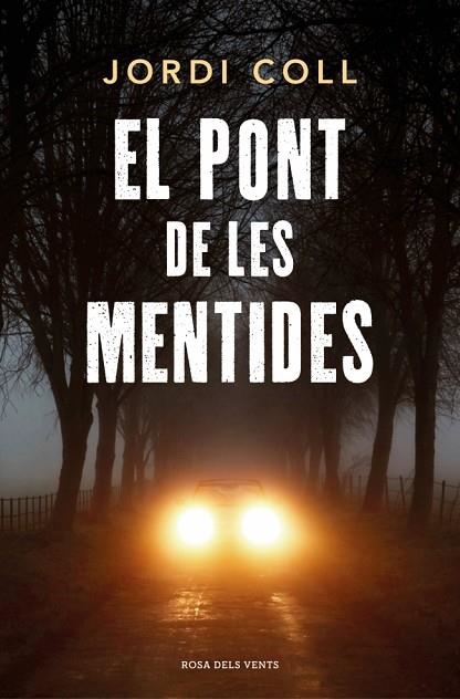EL PONT DE LES MENTIDES | 9791387653767 | JORDI COLL