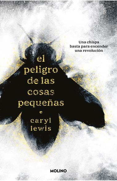 El peligro de las cosas pequeñas | 9788427251755 | Caryl Lewis