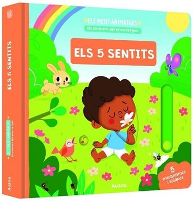 ELS MEUS ANIMATGES ELS 5 SENTITS | 9791039576987 | AURELIE MAUBORGNE