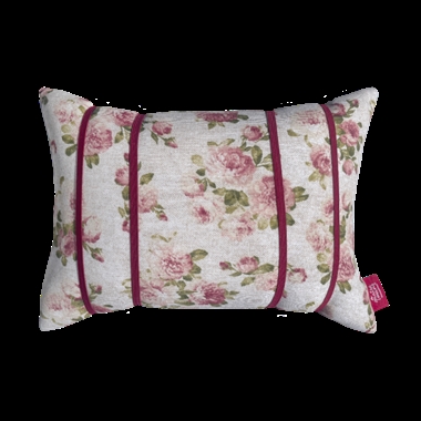 COIXI DE LECTURA ROSES SANT JORDI | 4410081 | A QUATRE MANS