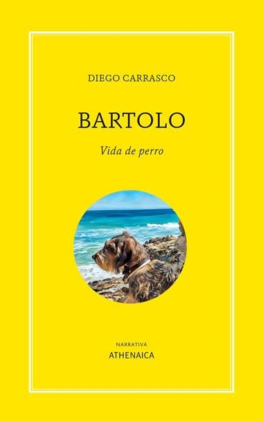 BARTOLO VIDA DE PERRO | 9788419874955 | DIEGO CARRASCO