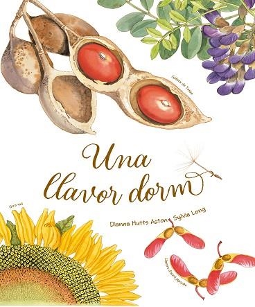 UNA LLAVOR DORM | 9788418900235 | DIANNA HUTTS ASTON