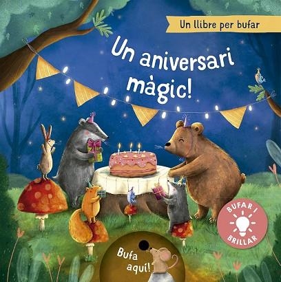 UN ANIVERSARI MAGIC | 9788491459095 | MARIA HOCK