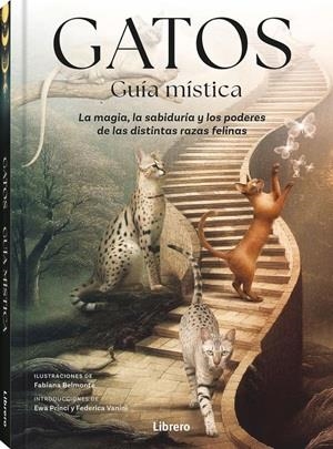 GATOS GUIA MISTICA | 9789464992007 | FABIANA BELMONTE