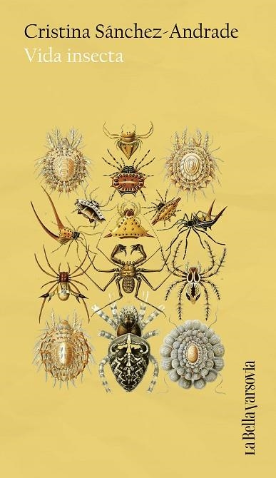 Vida insecta | 9788433949653 | Cristina Sanchez-Andrade
