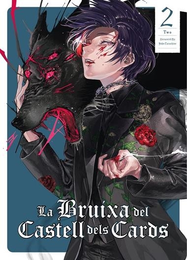 LA BRUIXA DEL CASTELL DELS CARDS 02 | 9788412998955 | JOHN TARACHINE