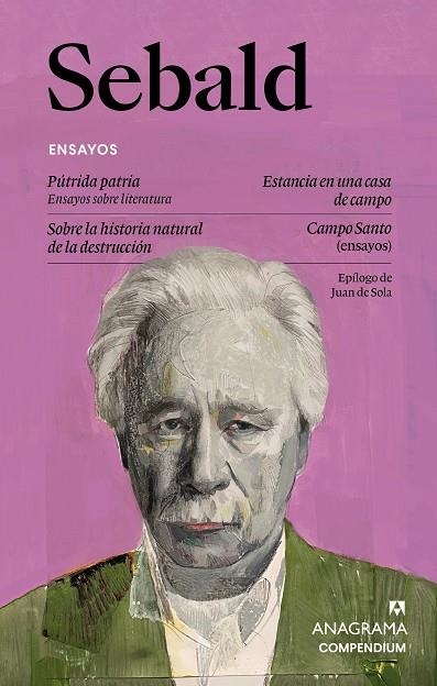 Sebald Ensayos | 9788433949585 | W G Sebald