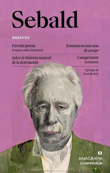 Sebald Ensayos | 9788433949585 | W G Sebald