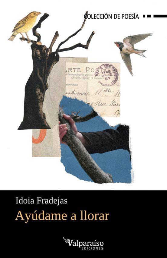 Ayudame a llorar | 9791388007712 | IDOIA FRADEJAS