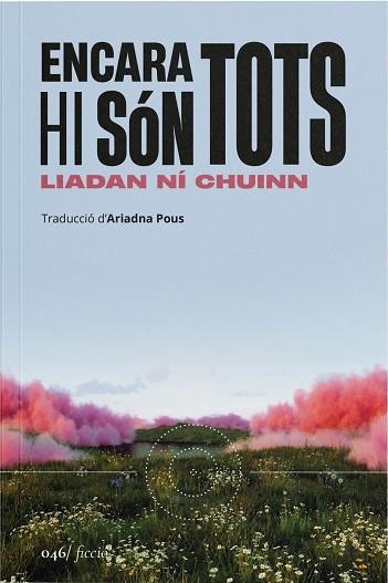 Encara hi son tots | 9788419059598 | LIADAN NI CHUINN