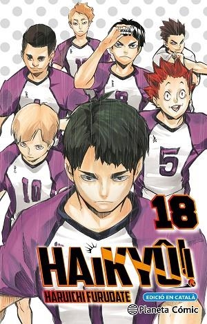 Haikyu 18 | 9791387920593 | Haruichi Furudate
