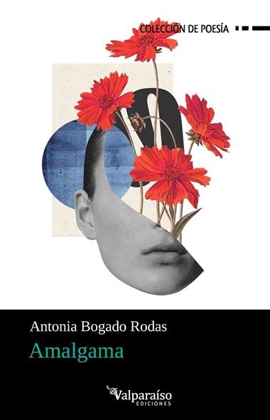 Amalgama | 9791388007842 | ANTONIA BOGADO RODAS