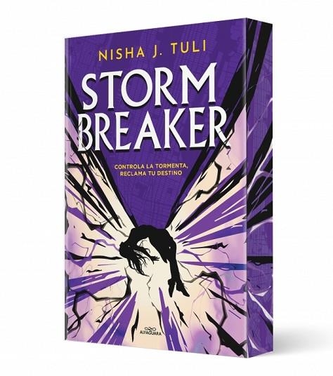 Storm Breaker | 9791387741402 | Nisha J. Tuli