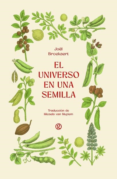 EL UNIVERSO EN UNA SEMILLA | 9788419990839 | JOEL BROEKAERT