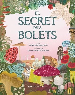 EL SECRET DELS BOLETS | 9791387728502 | GINEVRA PICOCO & LORENZO COCCHI