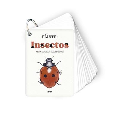 FIJATE INSECTOS | 9788410407183 | ANNA SANJUAN LLORENS & ALEX NOGUES