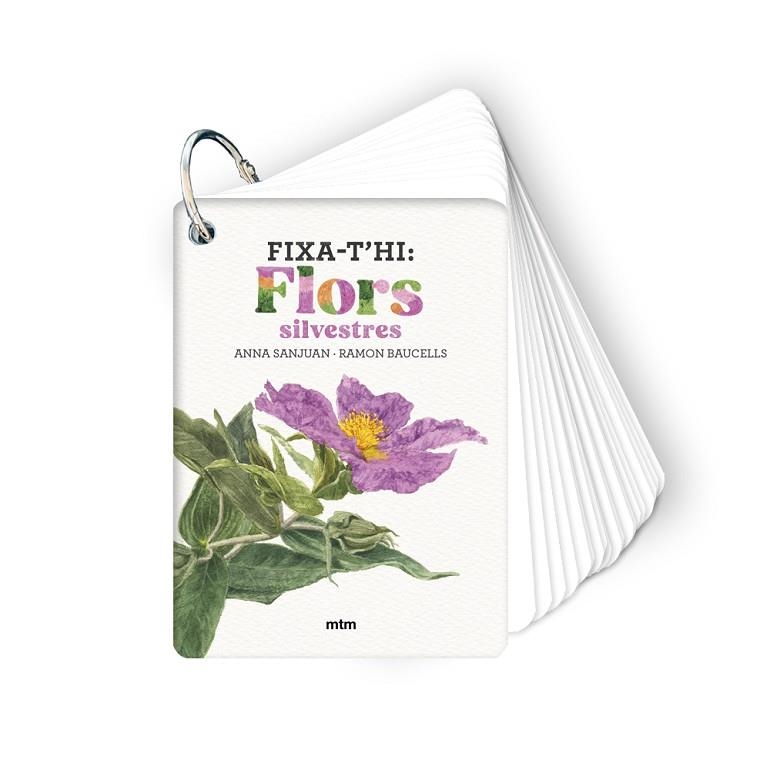 FIXA-T'HI: FLORS SILVESTRES | 9788410407589 | ANNA SANJUAN LLORENS & RAMON BAUCELLS COLOMER