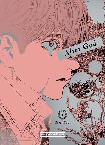 AFTER GOD 06 | 9788410305939 | Sumi Eno