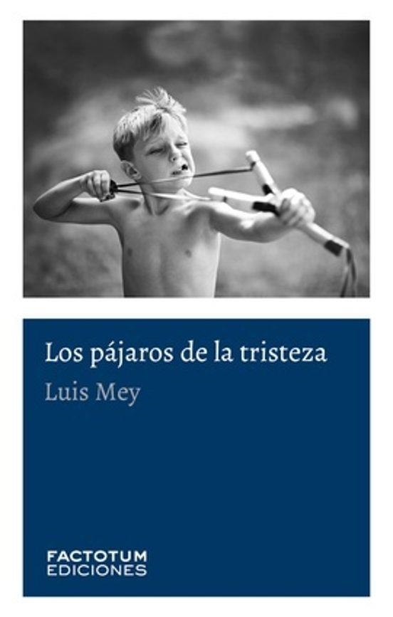 Los pajaros de la tristeza | 9789874198662 | LUIS MEY