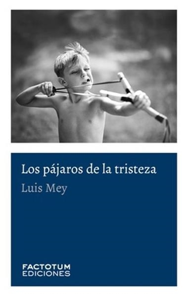 Los pajaros de la tristeza | 9789874198662 | LUIS MEY