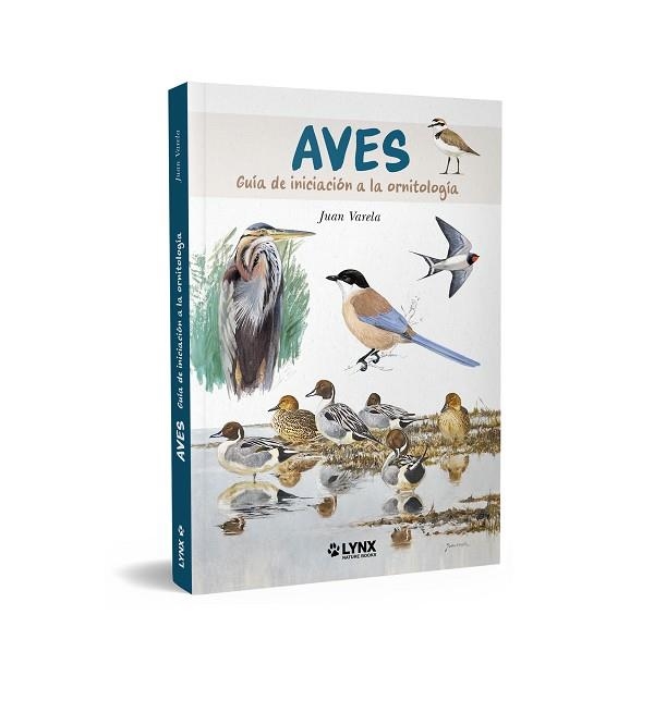 AVES GUIA DE INICIACION | 9788416728831 | JUAN VARELA
