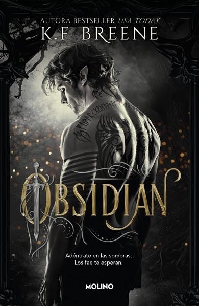 Los fae de las sombras 01 Obsidian | 9788427257290 | K F Breene