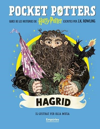 POCKET POTTERS 06 HAGRID | 9791387736385 | J K ROWLING