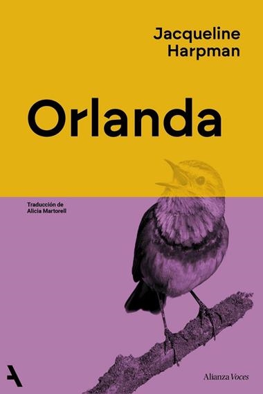 ORLANDA | 9791370093020 | JACQUELINE HARPMAN