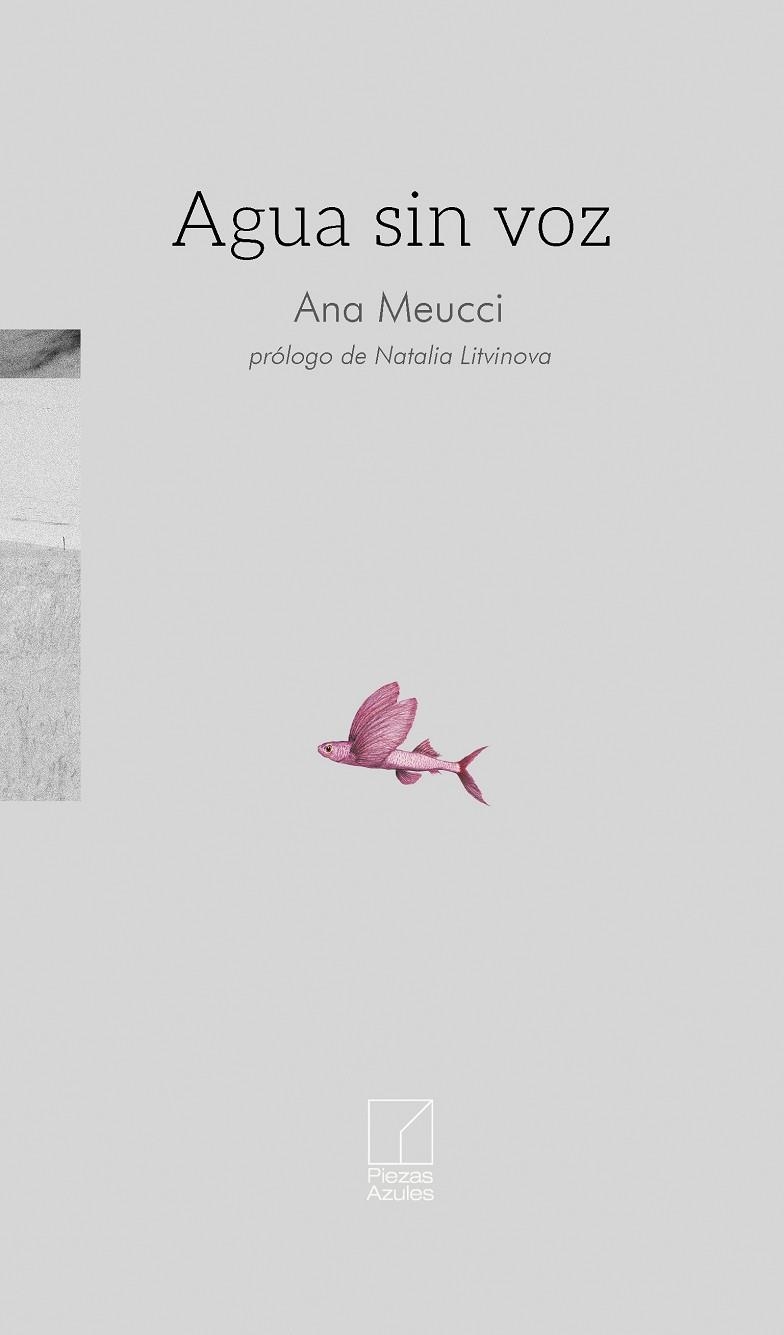 Agua sin voz | 9791399164336 | ANA MEUCCI