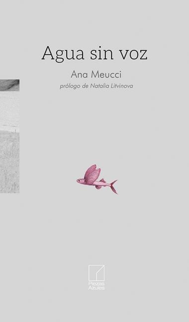 Agua sin voz | 9791399164336 | ANA MEUCCI