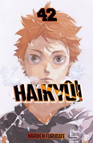 HAIKYU 42 | 9791388101090 | HARUICHI FURUDATE