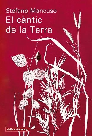 EL CANTIC DE LA TERRA | 9791388019852 | Stefano Mancuso