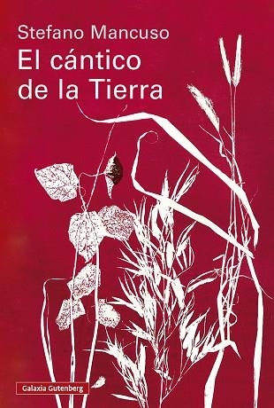 EL CANTICO DE LA TIERRA | 9791388019845 | Stefano Mancuso