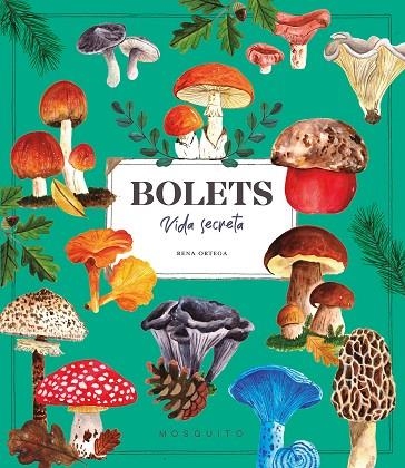 BOLETS VIDA SECRETA | 9788410417687 | Rena Ortega