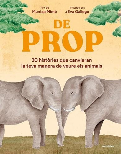DE PROP | 9791387847548 | MUNTSA MIMO